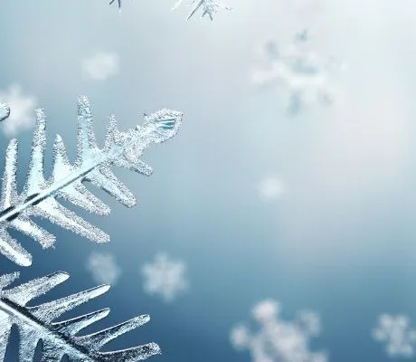 Wintery Children's Fiction